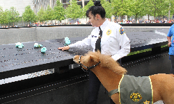 Valor visits the World Trade Center Memorial