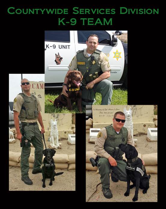 Collage of entire K-9 Team