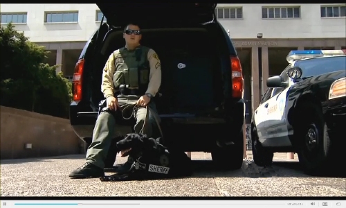 Deputy Daniel Cassese with K-9 Ruby in back of Patrol Car