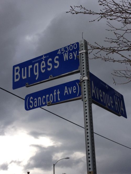 Sancroft Avenue
