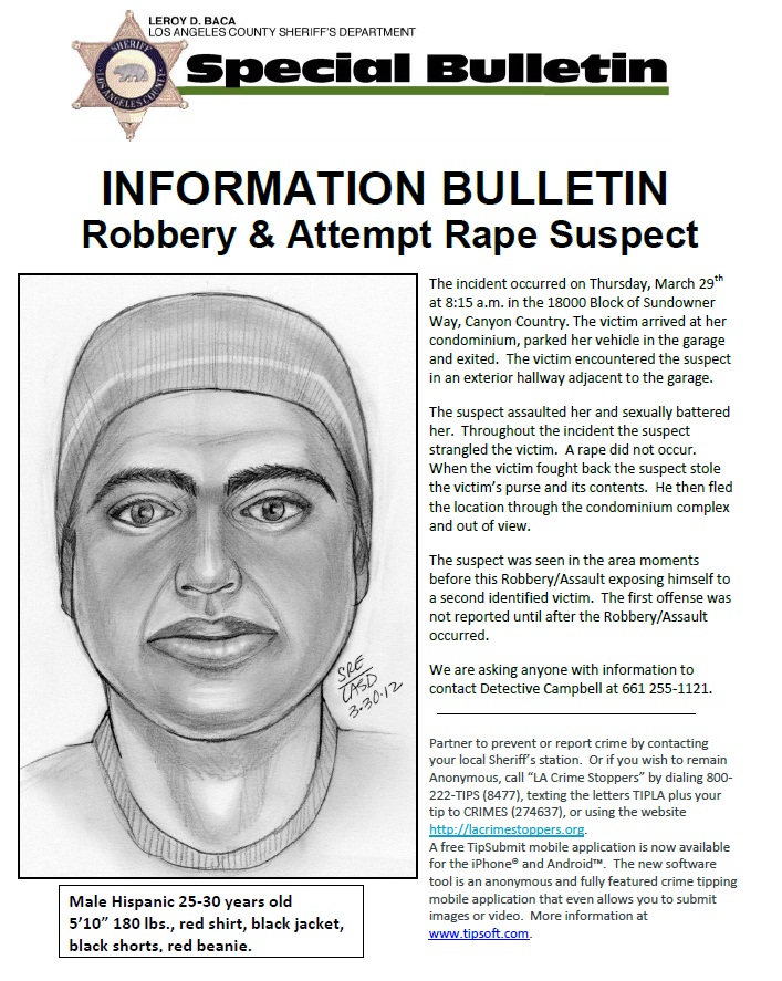 Robbery & Attempt Rape Suspect 