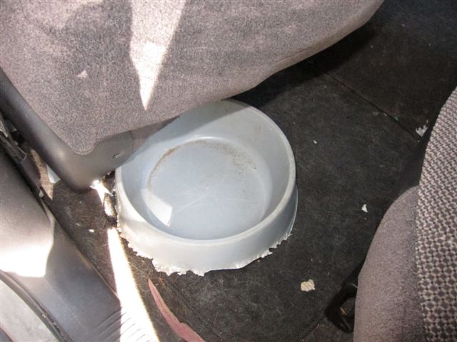 Dusty Water Bowl