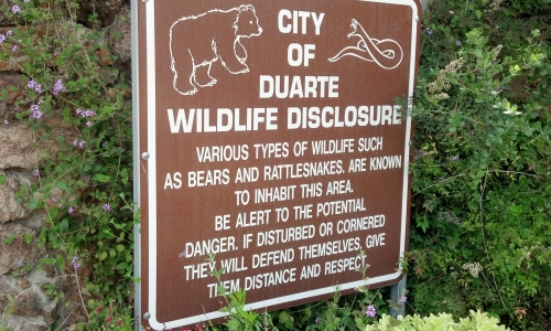 Wildlife Warning Sign