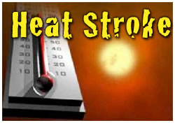 Heat Stroke is a Serious Medical Condition that Requires Immediate Medical Attention