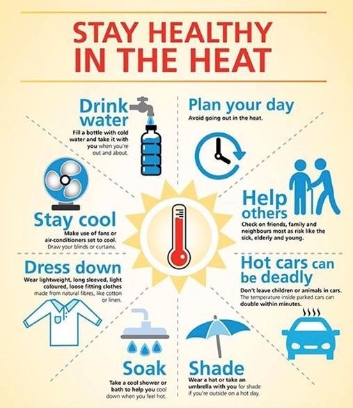 Stay Healthy in the Heat