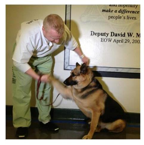 Canine Program