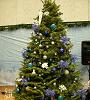 ICON Christmas Tree