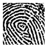 fingerprint-s